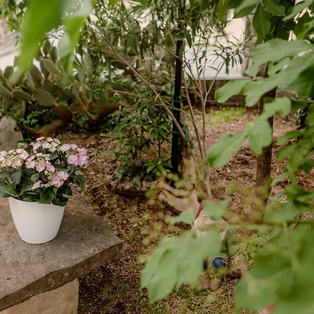 Apartma Gardens Of Capo D'istria *