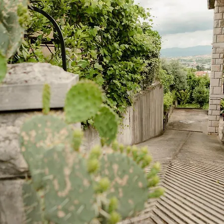 Gardens Of Capo D'istria Apartma Koper