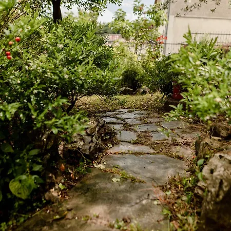 Gardens Of Capo D'istria *