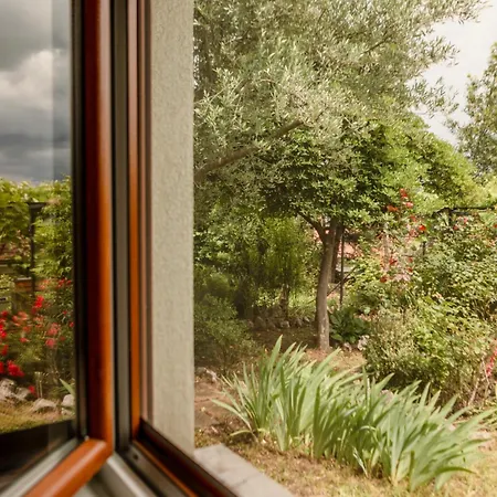 Gardens Of Capo D'istria