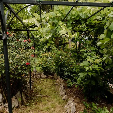 Gardens Of Capo D'istria