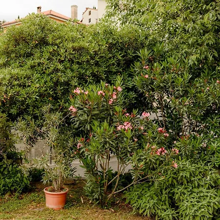 Gardens Of Capo D'istria Apartma