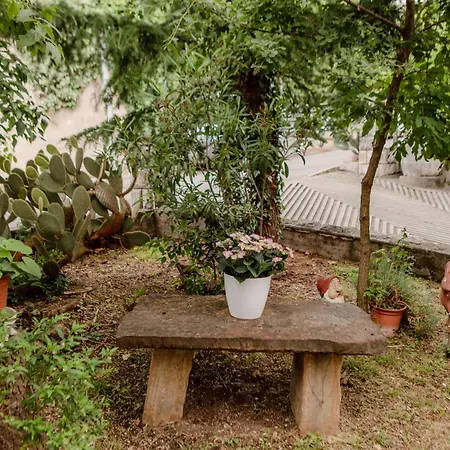 Apartman Gardens Of Capo D'istria